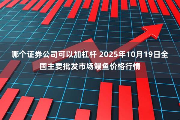 哪个证券公司可以加杠杆 2025年10月19日全国主要批发市场鳗鱼价格行情