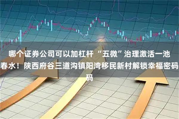 哪个证券公司可以加杠杆 “五微”治理激活一池春水！陕西府谷三道沟镇阳湾移民新村解锁幸福密码