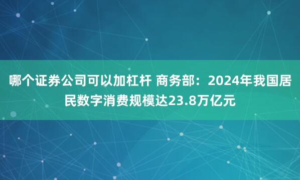 哪个证券公司可以加杠杆 商务部：2024年我国居民数字消费规模达23.8万亿元
