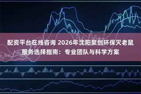 配资平台在线咨询 2026年沈阳聚创环保灭老鼠服务选择指南：专业团队与科学方案