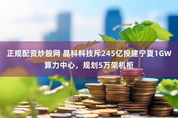 正规配资炒股网 晶科科技斥245亿投建宁夏1GW算力中心，规划5万架机柜